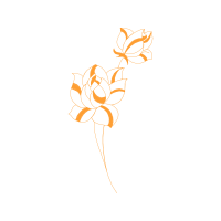 Hybrid Tea Rose Flowers