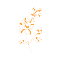 Hybrid Tea Rose Flowers