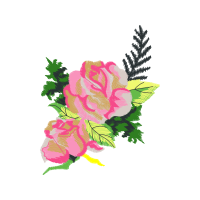 Hybrid Tea Rose Flowers