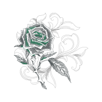 Hybrid Tea Rose Flowers