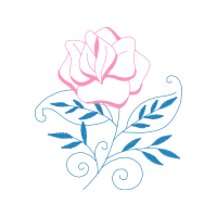 Hybrid Tea Rose Flowers