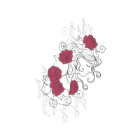 Hybrid Tea Rose Flowers