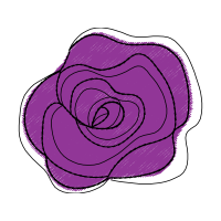 Hybrid Tea Rose Flowers