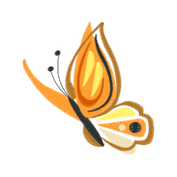 Hybrid Tea Rose Flowers