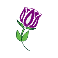 Hybrid Tea Rose Flowers