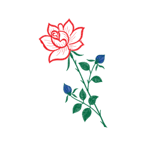 Hybrid Tea Rose Flowers Hybrid Tea Rose Flowers