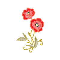 Hybrid Tea Rose Flowers