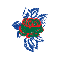 Hybrid Tea Rose Flowers