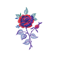 Hybrid Tea Rose Flowers