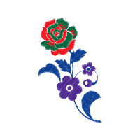 Hybrid Tea Rose Flowers