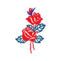 Hybrid Tea Rose Flowers