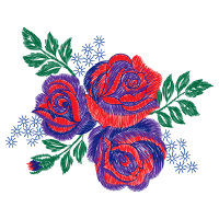 Hybrid Tea Rose Flowers