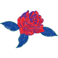 Hybrid Tea Rose Flowers