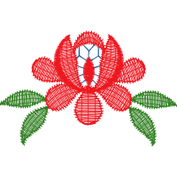 Hybrid Tea Rose Flowers