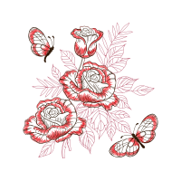 Hybrid Tea Rose Flowers