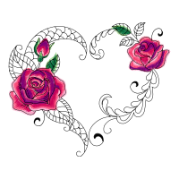 Hybrid Tea Rose Flowers