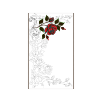 Hybrid Tea Rose Flowers