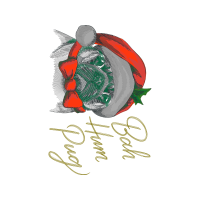 Hybrid Tea Rose Flowers