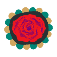 Hybrid Tea Rose Flowers