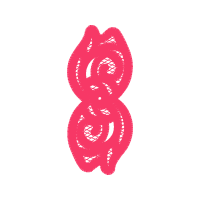 Hybrid Tea Rose Flowers