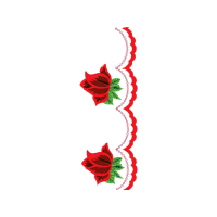 Hybrid Tea Rose Flowers