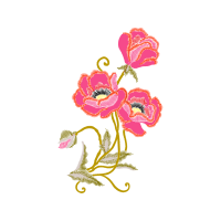 Hybrid Tea Rose Flowers