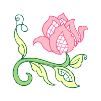 Hybrid Tea Rose Flowers