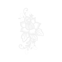 Hybrid Tea Rose Flowers