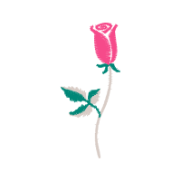 Hybrid Tea Rose Flowers