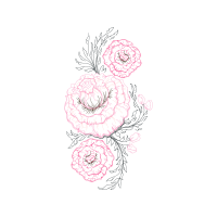 Hybrid Tea Rose Flowers