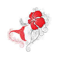 Hybrid Tea Rose Flowers