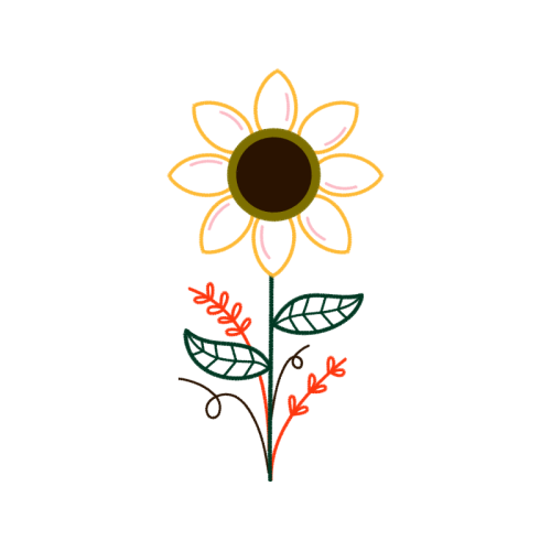 Hybrid Tea Rose Flowers Hybrid Tea Rose Flowers