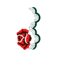 Hybrid Tea Rose Flowers