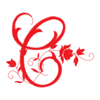 Illustration Flowers Illustration Flowers