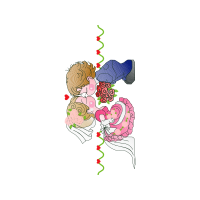 Illustration Flowers