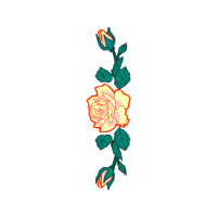 Illustration Flowers