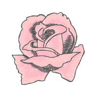 Illustration Flowers