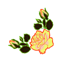 Illustration Flowers