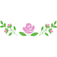 Illustration Flowers Illustration Flowers