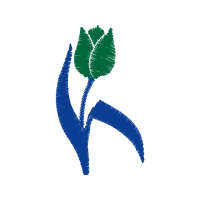 Illustration Flowers Illustration Flowers