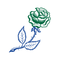 Illustration Flowers