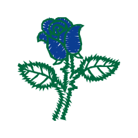 Illustration Flowers Illustration Flowers