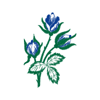 Illustration Flowers Illustration Flowers