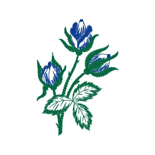 Illustration Flowers Illustration Flowers