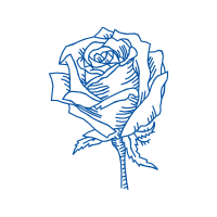 Illustration Flowers