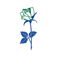 Illustration Flowers