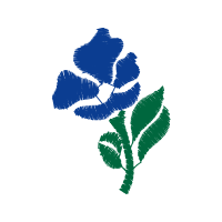 Illustration Flowers Illustration Flowers