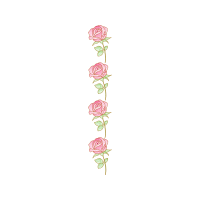 Illustration Flowers