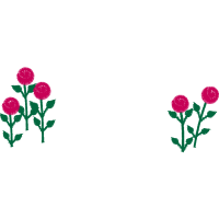 Illustration Flowers Illustration Flowers