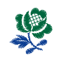 Illustration Flowers Illustration Flowers